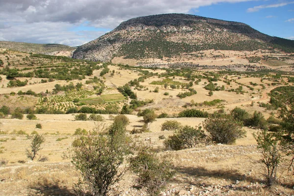 Typical Rugged Mountain Highland Wilderness Scrub Landscape — Stock Photo, Image