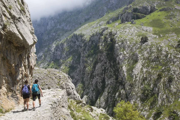 Mountain hikers on a well-known hiking route through a narrow and steep gorge with a carved hiking trail in Northern Spain.