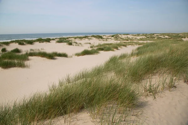 Όμορφη Θέα Στους Αμμόλοφους Και Την Αμμώδη Παραλία — Φωτογραφία Αρχείου