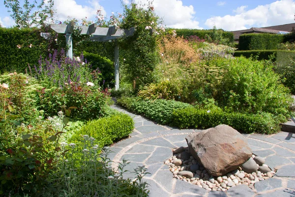 Bellissimi Fiori Che Crescono Nel Giardino Estivo — Foto Stock