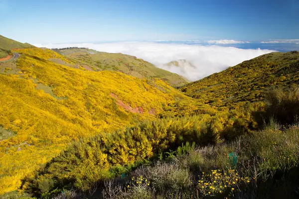 Kafkasların dağlarının güzel manzarası.