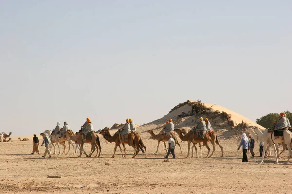 Vista Persone Che Cavalcano Cammelli Nel Deserto — Foto Stock