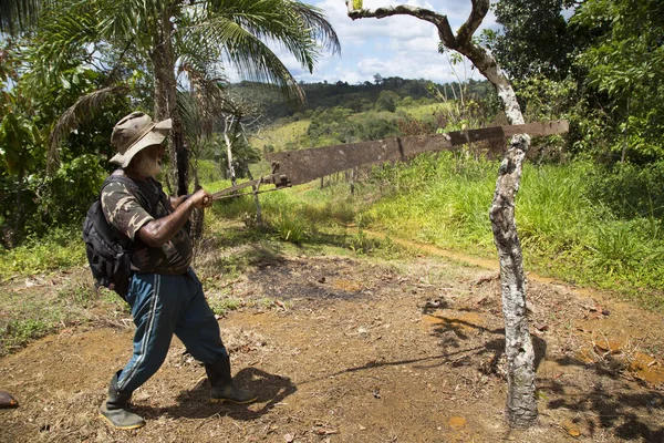 Orman sahnesinde ağaç kesen adam, seyahat sahnesi