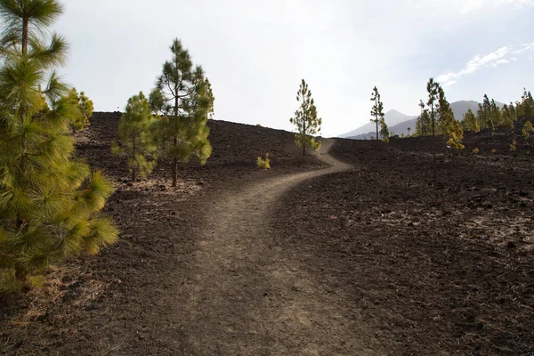 Dağlı güzel doğal manzara