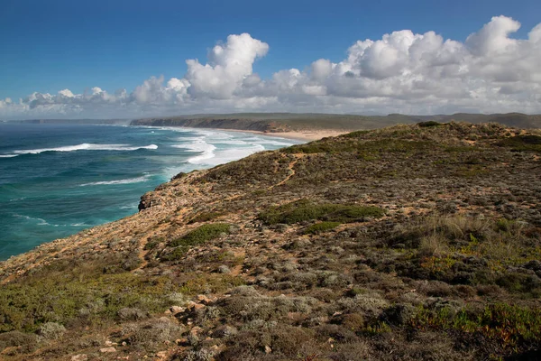 Deniz kıyısının güzel manzarası
