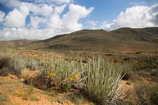 Dağların güzel manzarası