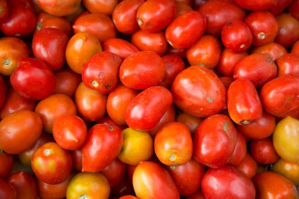 Bir pazar ahır kırmızı domates