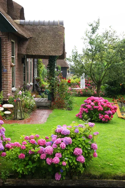 Belo Jardim Com Flores Plantas — Fotografia de Stock