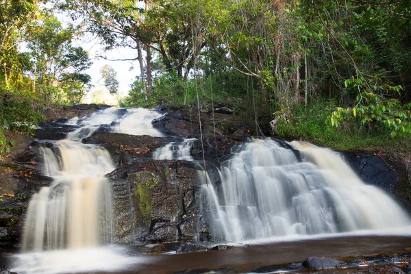 Tropikal ormanda akan kayalık nehir manzarası