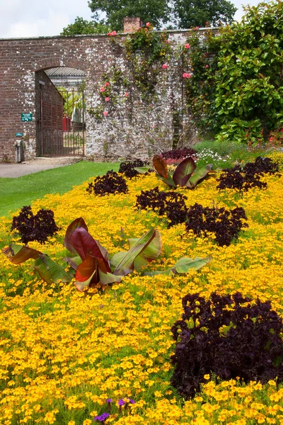 Bela Vista Parque Verão Com Flores Amarelas — Fotografia de Stock