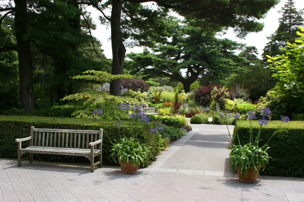 美しい花や植物のある公園 — ストック写真