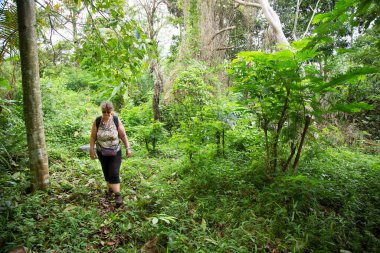 Genç bir kadın ormanda yürüyüş yapıyor. 