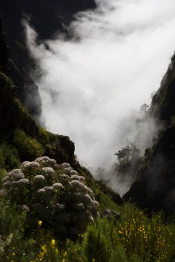 Dağların güzel manzarası
