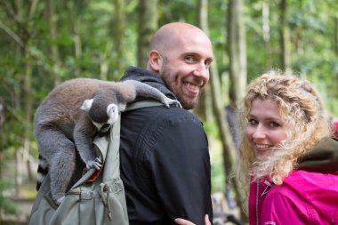 Bilinmeyen bir çift ormanda maymunlarla oynuyor.