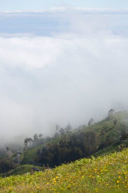 Arkasında bir dağ olan güzel bir manzara.