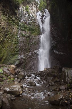 Ormanda güzel bir şelale 