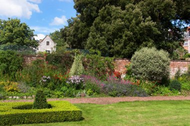 Yaz bahçesinde yetişen güzel çiçekler..
