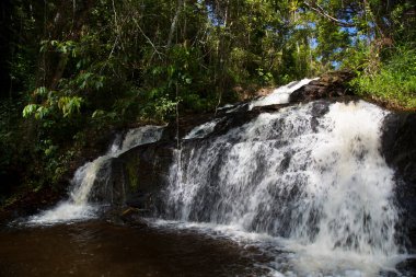 Tropikal ormanda akan kayalık nehir manzarası