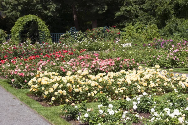 Parc Avec Belles Fleurs Plantes — Photo