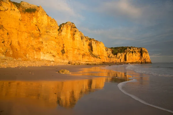 Kayalık kıyılar, kayalıklar ve kayalar denizlerde
