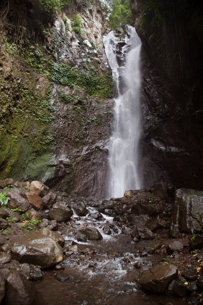 Ormanda güzel bir şelale 