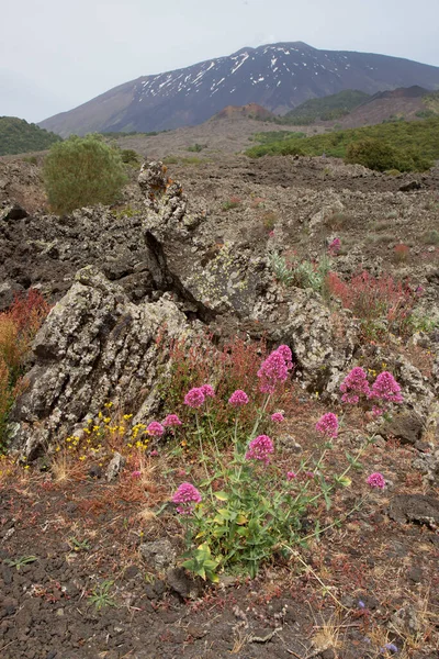 Rocce Vulcaniche Bella Scena Montuosa — Foto Stock