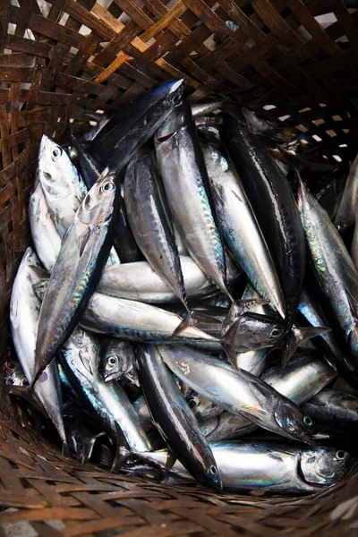 Kovalar dolusu taze balık satılığa çıktı ve açık havada ana caddenin yakınında sergilendi.