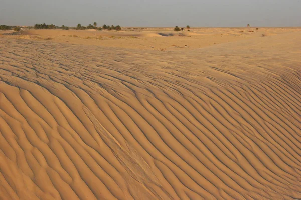 Hermosa Vista Del Desierto Sahara Morocco — Foto de Stock