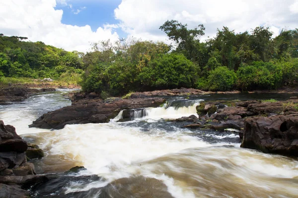engebeli kayalık nehir tropik ormanlarda akıyor.