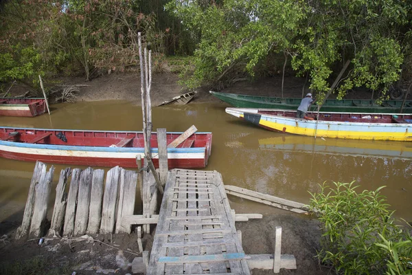 Renkli açık balıkçı tekneleri ve demirleyecek kalın direkleriyle bir mangrov gölünde doğal liman.