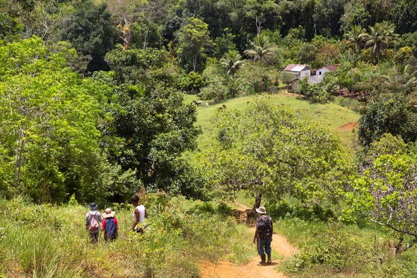 yemyeşil bir sahnede yürüyüş yapan bir grup insan, seyahat çekimleri.
