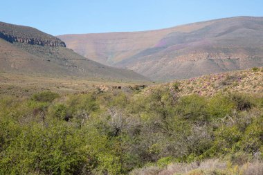 Dağ manzarasının güzel manzarası