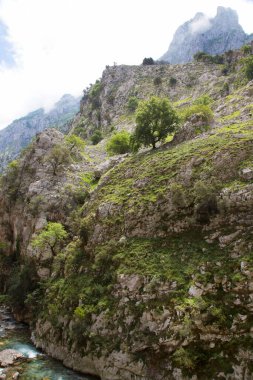 Dağların güzel manzarası