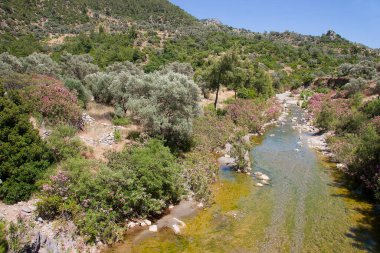 Dağlardaki nehrin güzel manzarası
