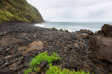 Deniz kıyısının güzel manzarası