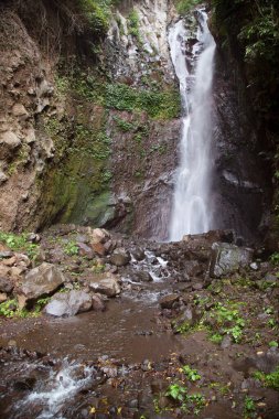 Ormanda güzel bir şelale 