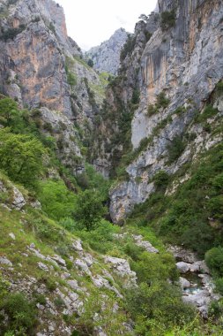 Dağları ve ormanları olan güzel dağ manzarası