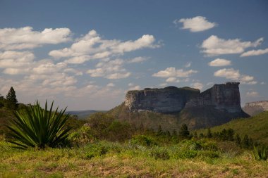 Güneşin yemyeşil olduğu kayalık manzaralı güzel bir manzara.