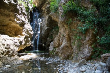 Ormanda güzel bir şelale