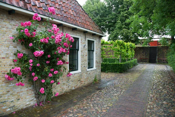 荷兰一个小村庄的社区 — 图库照片