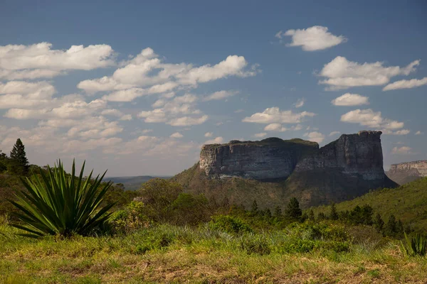 Güneşin yemyeşil olduğu kayalık manzaralı güzel bir manzara.