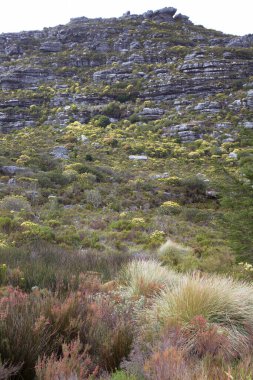 Dağların güzel manzarası