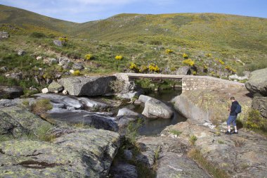 Dağların güzel manzarası. 