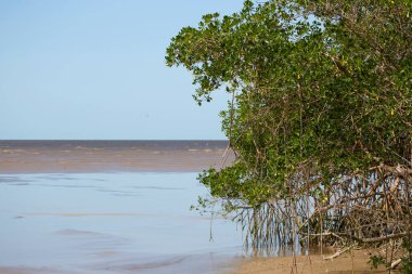 Güzel deniz manzarası ve kumsal.