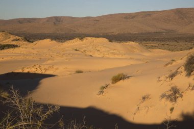 Çölün güzel manzarası
