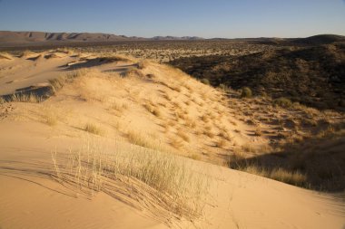 Çölün güzel manzarası