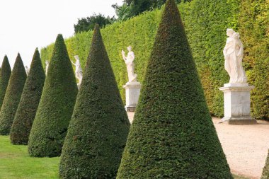 Güzel botanik fotoğrafı, doğal duvar kağıdı.