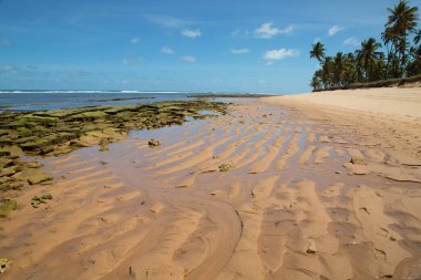 Güneş, deniz, palmiye ağaçları ve ıssız ve el değmemiş tropik bir sahilde kum.
