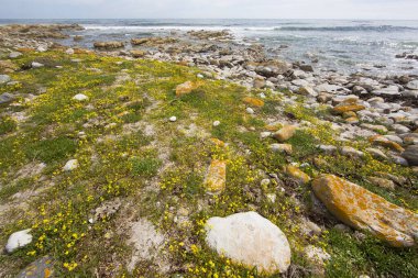 Deniz kıyısının güzel manzarası