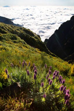Dağların güzel manzarası